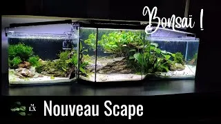 Miniature : JE METS UN ARBRE DANS MON NANO AQUARIUM | Trop la classe !!