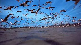 Miniature : BO Les Ailes Pourpres (The Crimson Wings) - La Transformation