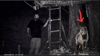Miniature : Scary Night with the Wolf, Mobile Home, Off-Grid