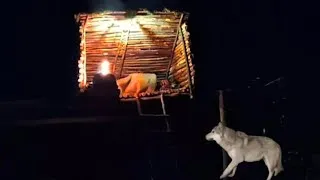 Miniature : Solo Survival in the Wild: Fishing, Fire, and Wolves at Midnight,TitanCraft 