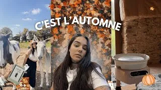 Miniature : L’automne comme je l’aime 🧡🍂 poterie, chevaux & lectures