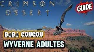 Miniature : CRIMSON DESERT : Comment avoir la monture WYVERNE et le familier COUCOU ! 🐉