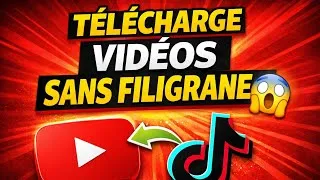 Miniature : Comment télécharger des vidéos YouTube et TikTok sans filigrane (Facile & Rapide)