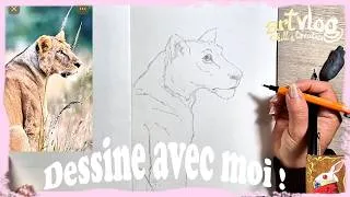 Miniature : 18 minutes de dessin naturel, je trace une lionne, processus complet