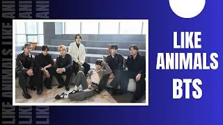Miniature : De quoi parle Like Animals de BTS ? (traduction francaise et analyse)