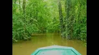 Miniature : Crue du Loing, juin 2016 - Montigny sur Loing