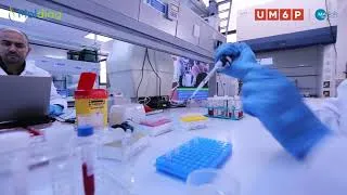 Miniature : Fondation MAScIR - Moldiag : Journée mondiale de sensibilisation à la Leucémie