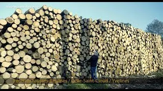 Miniature : Forêts d'Île de France / Le martyre de Fausses-Reposes/ Opus II