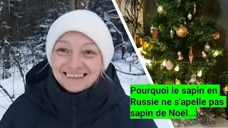 Miniature : Pourquoi le  sapin en Russie ne s'apelle pas sapin de Noël...