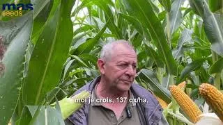 Miniature : 🌽 Alsace - MAS 448G : régularité, tenue et rendement validés