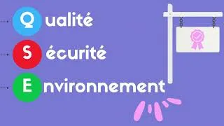 Miniature : La QSE pour les nuls (Qualité - Sécurité - Environnement)