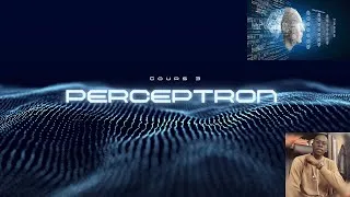 Miniature : Deep Learning #4 Perceptron