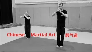 Miniature : Chinese Martial Art: Gu Qi Dao 顾气道 - 掌控你的能量