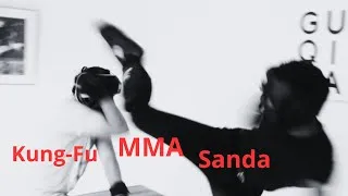 Miniature : The art of striking in Chinese martial arts applied to MMA, Sanda 2.
