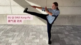Miniature : GU QI DAO Kung-Fu 顾气道 功夫