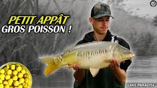 Miniature : FISHING FILM: Petit appât "Grosse" carpes !