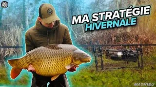 Miniature : IN SESSION: Ma Stratégie Hivernale carpfishing !