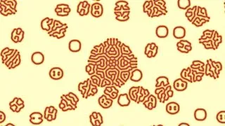 Miniature : Turing patterns (computed in Fortran)