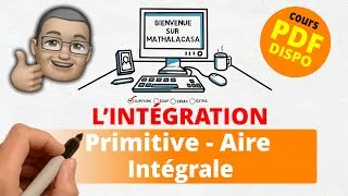 Miniature : L'intégration (primitive, intégrale, calcul d'aires)
