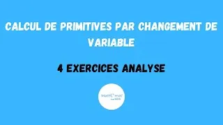 Miniature : Calcul de primitives par changement de variable - 4 exercices analyse