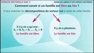 Miniature : 2.08 Espaces vectoriels sur ℝ - Familles libres d'un espace vectoriel