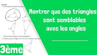 Miniature : Comment montrer que des triangles sont semblables avec les angles ?