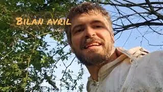 Miniature : Bilan avril : les abeilles 🐝 les poules 