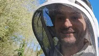 Miniature : Visite de printemps colza !