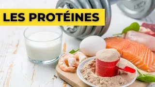 Miniature : TOUT SAVOIR SUR LES PROTÉINES