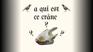 Miniature : A qui appartient ce mystérieux crâne ? #5