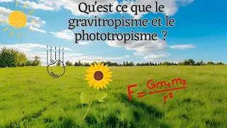 Miniature : C'est quoi le gravitropisme et le phototropisme ?