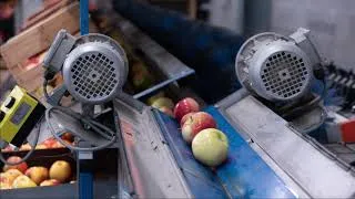 Miniature : Jocelyn et Yvan Carle, FRUITYS (5/6) : en station