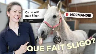 Miniature : ENFIN DE RETOUR AUX ÉCURIES 🥹