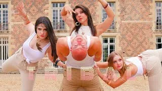 Miniature : TRIBAL - Andréal