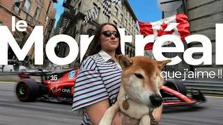 Miniature : MON VLOG PRÉFÉRÉ ❤️☀️