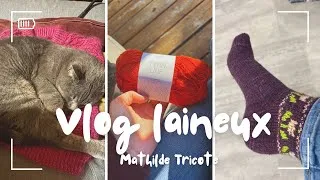 Miniature : Vlog tricot : On termine le Meredith ?