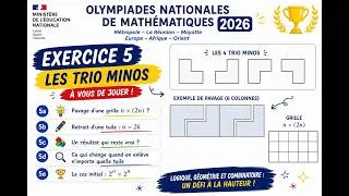 Miniature : Olympiades nationales de mathématiques 2026  corrigé- exercice 1 - question 5 les triominos