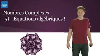 Miniature : Nombres complexes 5/12 : Équations algébriques