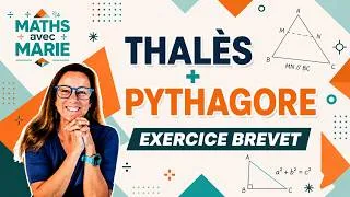 Miniature : Thalès et Pythagore : exercice brevet corrigé (Centres étrangers)