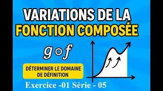 Miniature : Domaine et Variations d'une fonction composée Exo1 Série 5