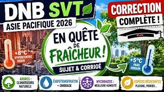 Miniature : 🔥 DNB SVT 2026 Asie-Pacifique : Correction complète du sujet "En quête de fraîcheur"