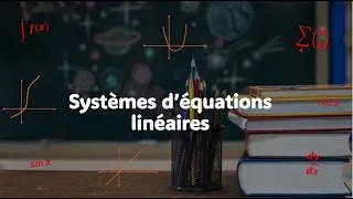 Miniature : Systèmes d’équations linéaires. La modélisation de réseaux de flux.