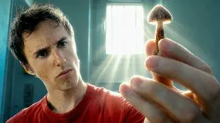 Miniature : Ce champignon interdit peut-il me sortir de la dépression ?