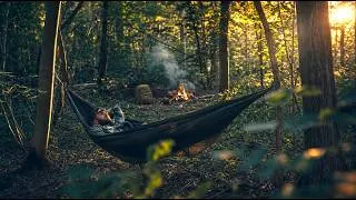 Miniature : Seul en Montagne : Je Continue Ma Cabane Bushcraft (Jour 2)