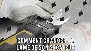 Miniature : Comment remplacer la lame de son sécateur électrique