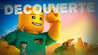 Miniature : Lego Wolds -Lego Minecraft ?? peut être ?- Decouverte