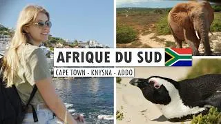 Miniature : AFRIQUE du SUD : notre GUIDE complet pour découvrir CAPE TOWN, KNYSNA et ADDO
