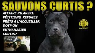 Miniature : AFFAIRE PILARSKI, FAUT-IL SAUVER CURTIS? L'euthanasie est-elle inévitable pour un chien mordeur?