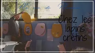 Miniature : ❥ 723 - ON MANGE CHEZ LES LAPINS CRETINS - [ VLOG FAMILLE ] - MA VIE DE MAMAN