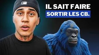 Miniature : Anthony Sirius : 300K/mois avec des vidéos de singe (Analyse)